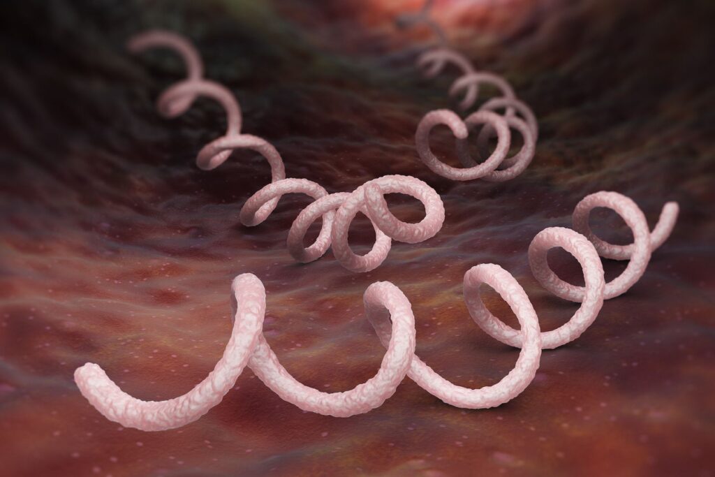 Congenital syphilis spike in Colorado prompts government action